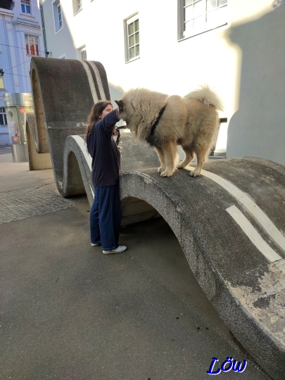 19.4.2025 - Dwix, der Klettermax